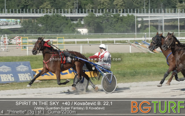 4 "Prinette" (3g i st.) Guma/2200m